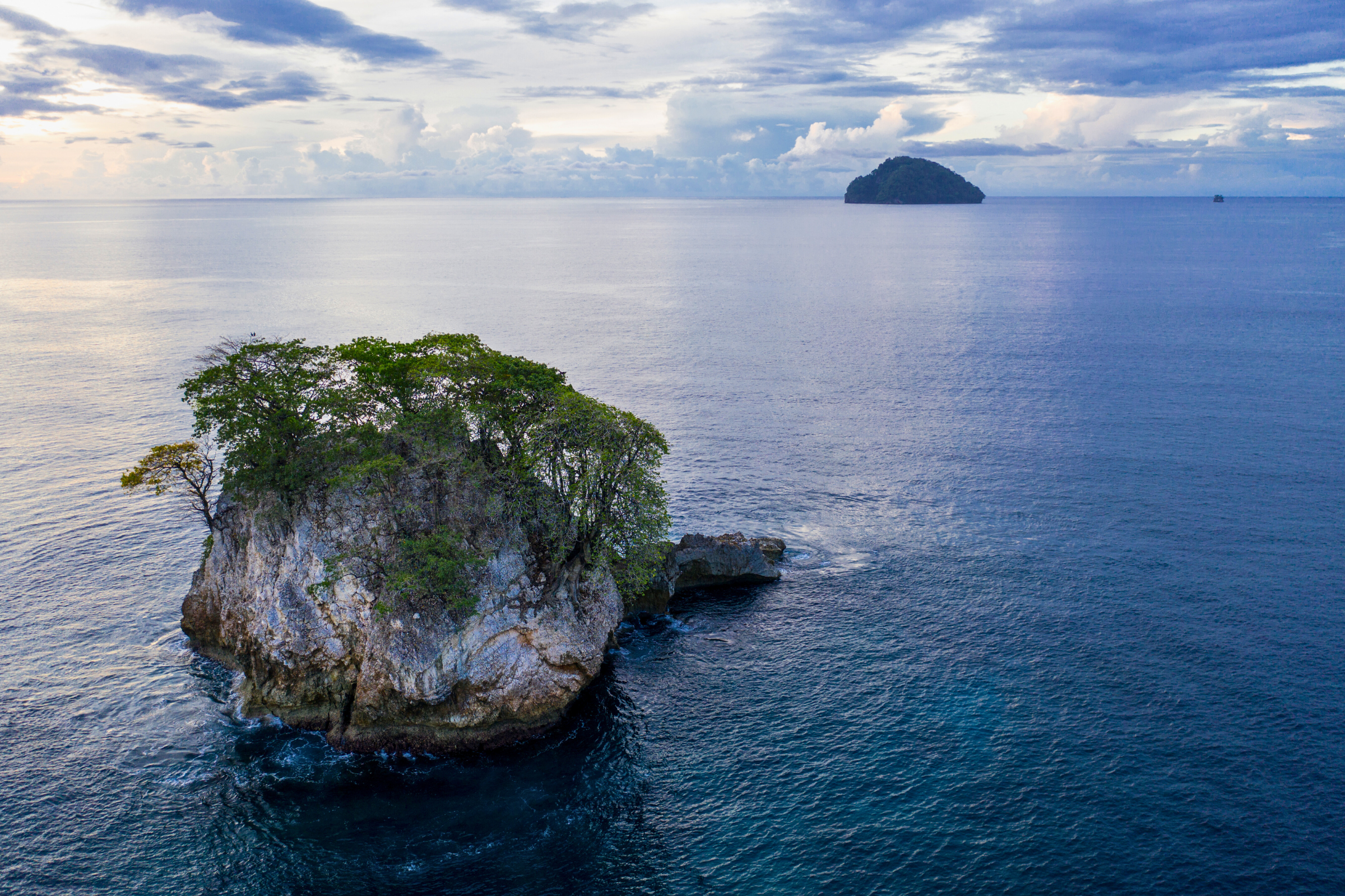 tami island (2).webp
